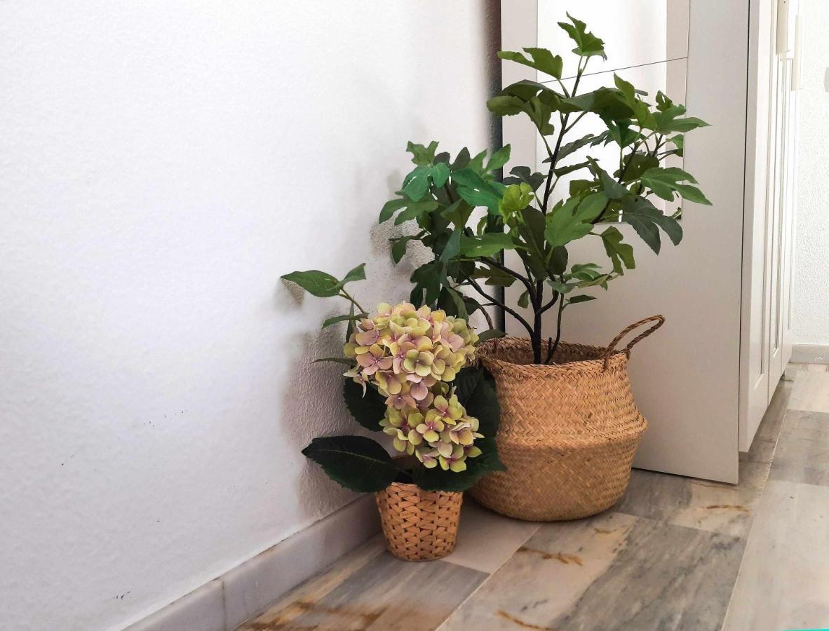 Lovely Center Apartments - Sunny Balcony Alfalfa 塞维利亚 外观 照片